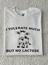 Image 2 of I tolerate much but no lactose t-shirt