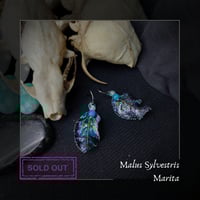 Image 1 of ☽ Malus Marita ☾