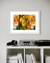 Image 3 of A FOGGY DREAM #1 (36X24)