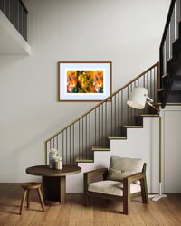 Image 4 of A FOGGY DREAM #1 (36X24)