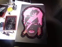 Image 2 of Pink Aladdin Negative with diamond dust and rhinestones
