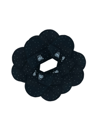 Image 3 of StarLiTE Logo Beanie