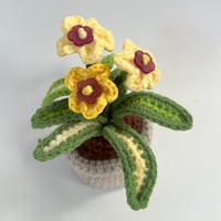 Image 3 of Mini Potted Flowers - Yellow 