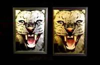 Image 1 of A3 A pair of Puma's