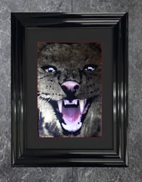 Image 3 of A3 A pair of Puma's