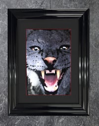 Image 4 of A3 A pair of Puma's