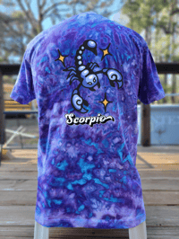 Image 16 of Retro Zodiac