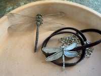 Image 4 of Dragonfly Wrap