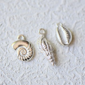 Image of Silver - Shells 2