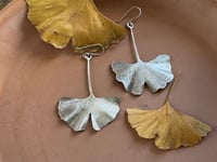 Image 6 of Ginkgo leaf earrings