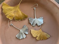 Image 1 of Ginkgo leaf earrings