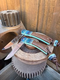 Image 3 of Dusky especial sbj