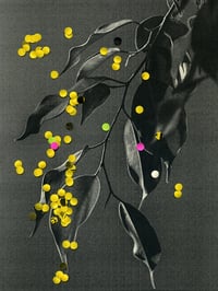 Image 1 of THE BRANCH