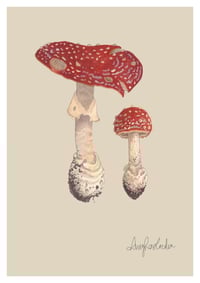 Amanita muscaria Toadstool Print 