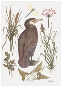 Cormorant Print 