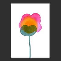 Image 5 of Bloom 