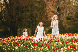 Image of U PICK TULIPS GLASTONBURY MINIS April 2025