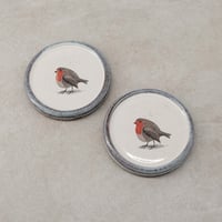 Image 1 of A Pair of Robin Coasters