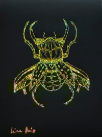 Image 1 of Voo do Besouro