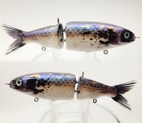CreekProwler ( Shad )