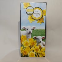 Birthday - Spring Lambs