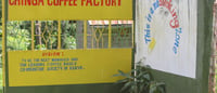 Image 2 of Kenya Nyeri Chinga Peaberry