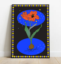Tulipes du Fleuriste