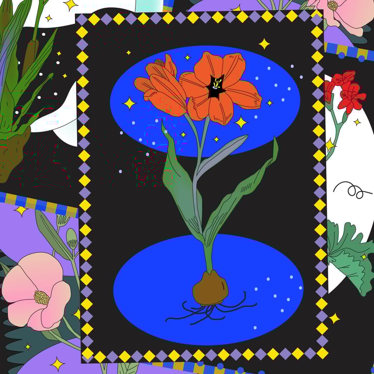 Tulipes du Fleuriste Image 2