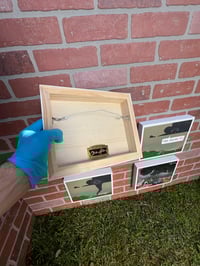 Image 5 of Tornado Tag