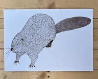 Image 2 of Beaver print