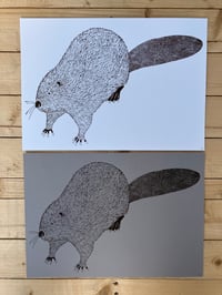 Image 3 of Beaver print