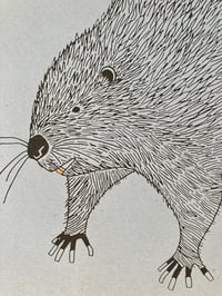 Image 5 of Beaver print