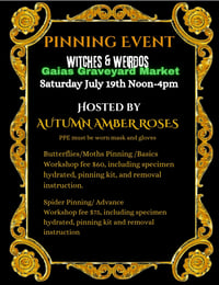 Image 1 of Pinning Event
