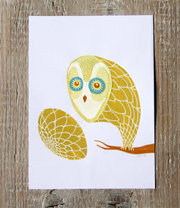 Image of Cut owl