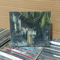 PROFECI - Ubostwo [CD]