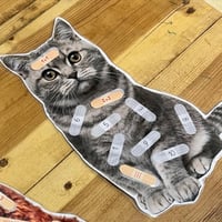 Image 2 of MASCOTES / MASCOTAS