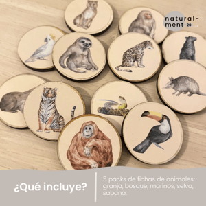 FITXES VOCABULARI ANIMALS / FICHAS VOCABULARIO ANIMALES