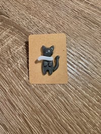 Image 2 of Aizawa and Shinsou Resin Cat Pins