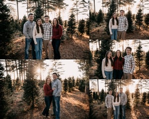 Image of 2025 Tree Farm Minis!