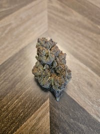 Gelatto 45