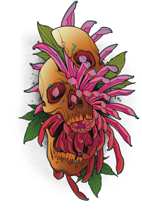 Image 2 of Skull Chrysanthemum Tattoo Design