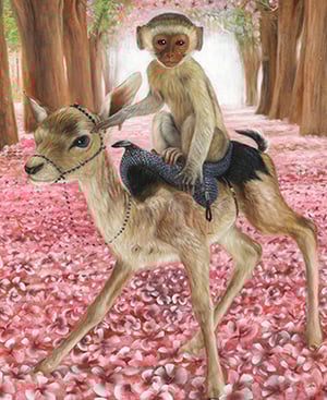 Image of Fawn Rider