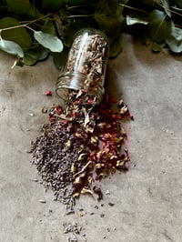 Image 3 of Wild Wolf Wellness Kit