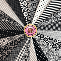 Image 3 of DOT AND DASH 21pc Sampler Box by Doodle Bug Designs for Riley Blake Designs.