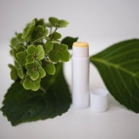 Image 2 of Skin Gems Lip Balm