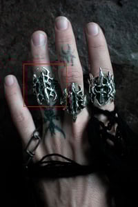 Image 3 of shadow husk³