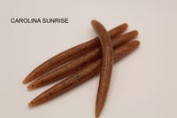 Image 3 of 5” Stick Bait 