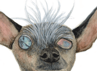 Image 2 of Ugly Dog Giclée Art Print 8"x10"