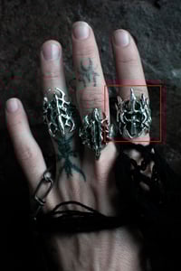 Image 3 of feral rust³