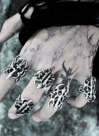 Image 4 of feral rust³